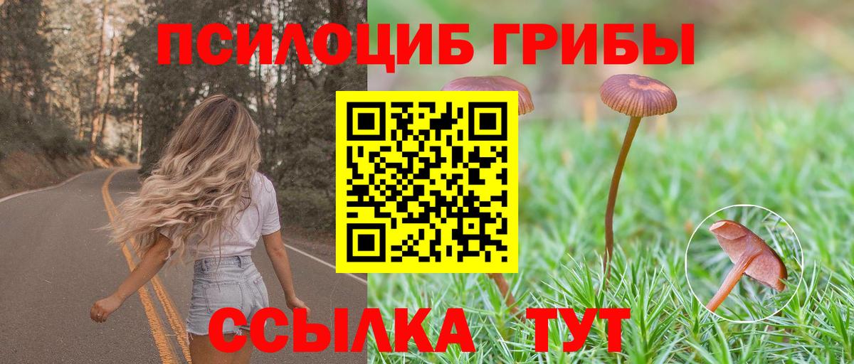 Псилоцибиновые грибы Cubensis Жуковский