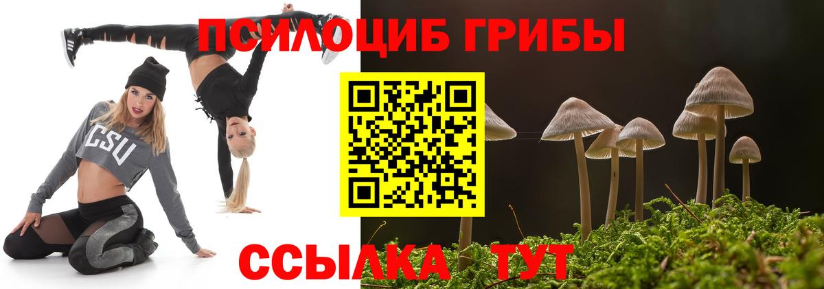 Псилоцибиновые грибы прущие грибы  где купить наркотик  Жуковский  Псилоцибиновые грибы Magic Shrooms  Вход с VPN 